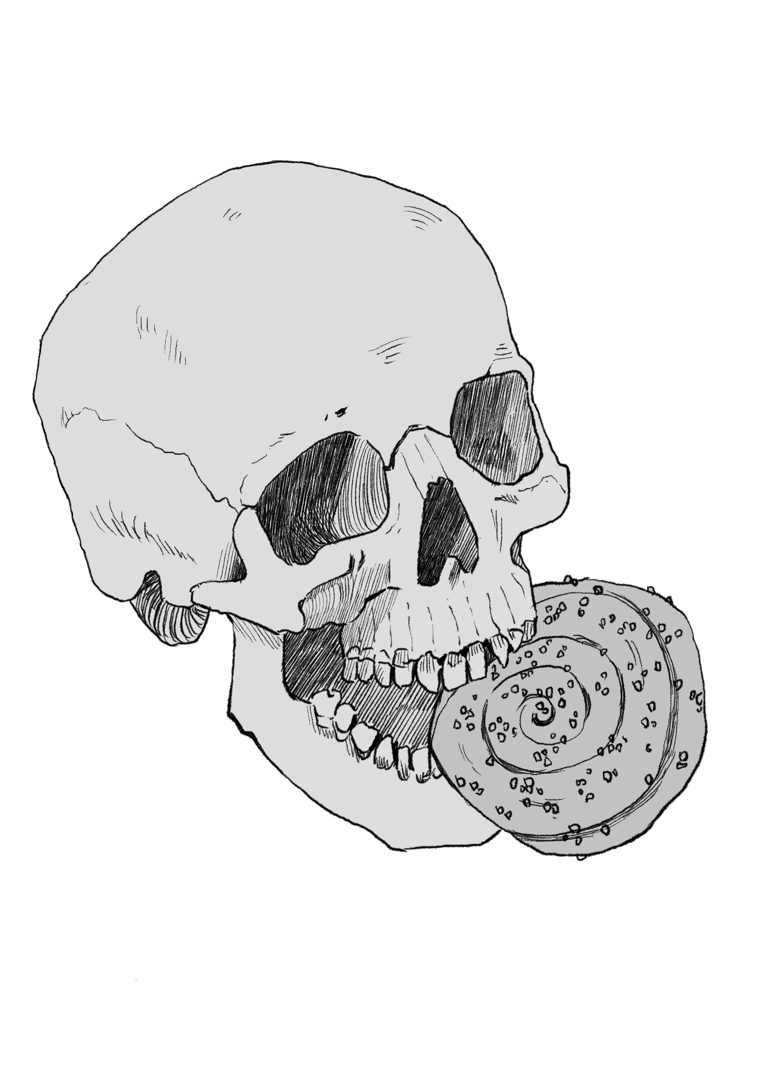 Skull